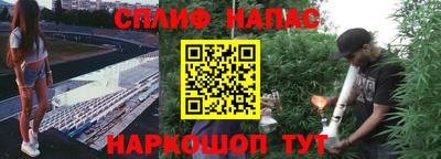 jwh Шебекино