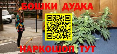 jwh Шебекино