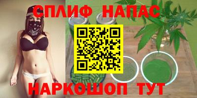 jwh Шебекино